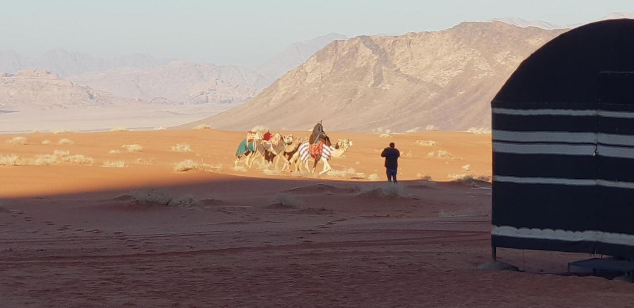 Hotel Real Bedouin Experience Tours&Camp à Wadi Rum Extérieur photo